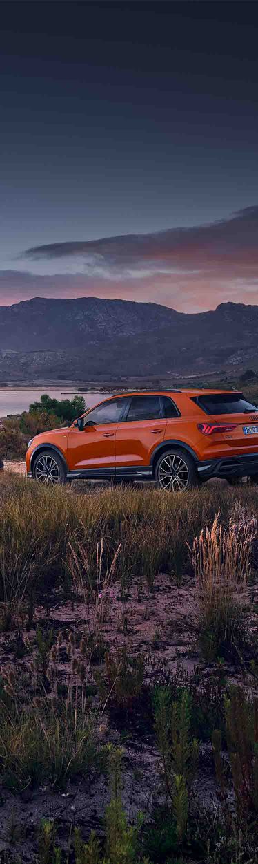 Side view of the Audi Q3 in a landscape with a dog
